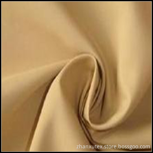 SGS 40d Nylon Taffeta Fabric (ZX-NSF061436)